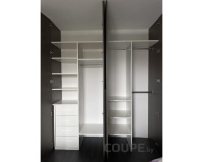 shkaf-kupe_309-2